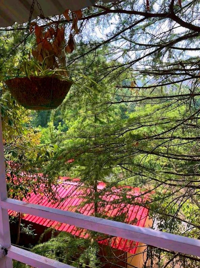 Aamod Resorts Dalhousie ! Luxury Cottage Resort מראה חיצוני תמונה
